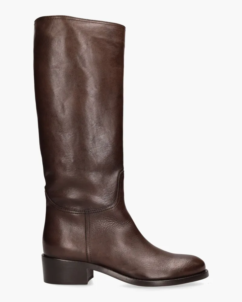 AGL Georgia, enkellaarsjes & boots voor dames in donkerbruin