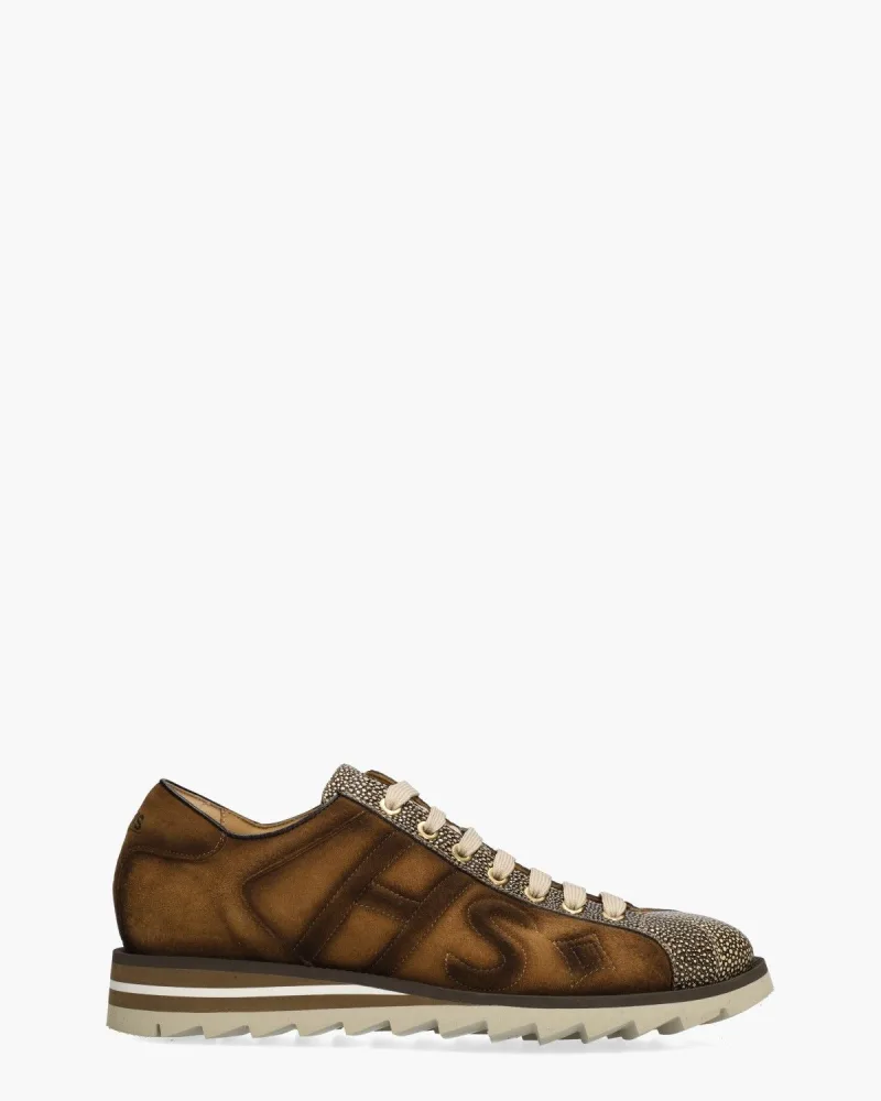 Harris 2817, sneakers voor heren in bruin