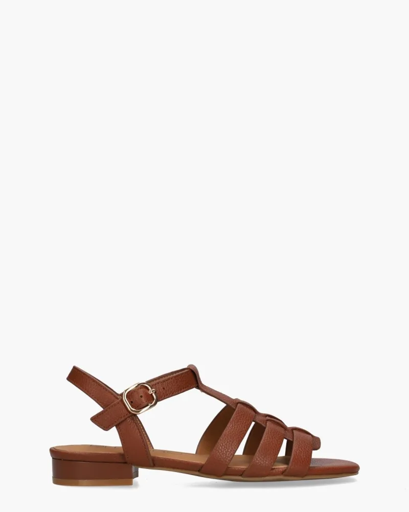 Di Lauro Desiree, schoenen voor dames in bruin