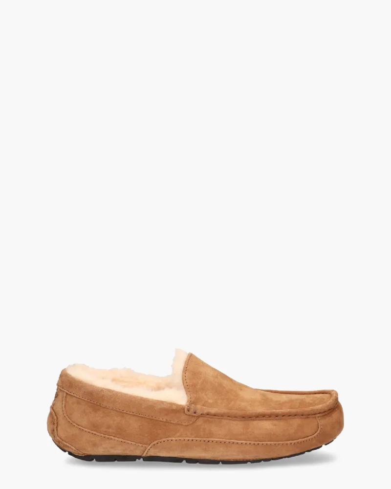 UGG Ascot Chestnut s, pantoffels voor heren in bruin