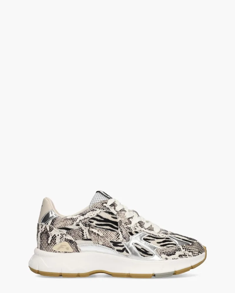 Floris Van Bommel Daysi 07.01, sneakers voor dames in wit