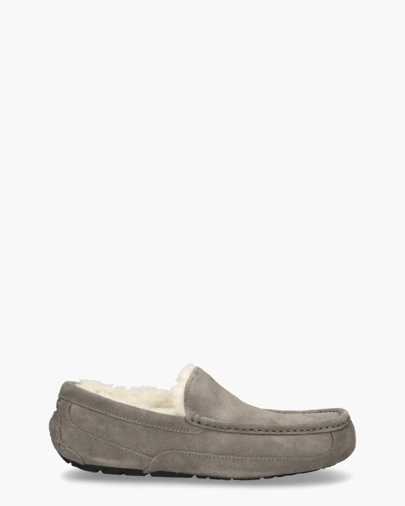 UGG Ascot Grey s, pantoffels voor heren in grijs