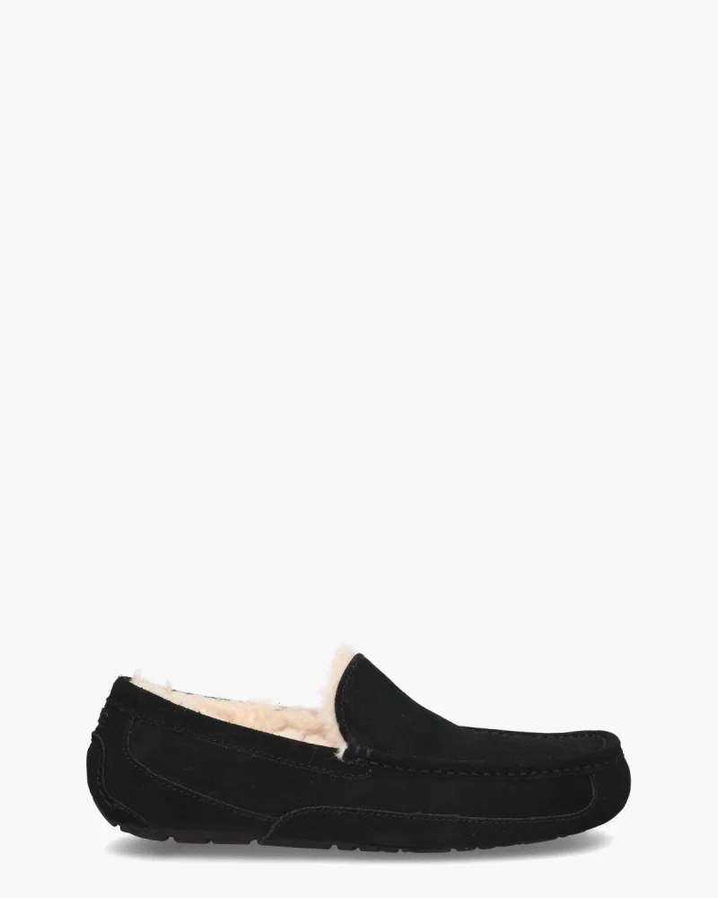 UGG Ascot Black s, pantoffels voor heren in zwart