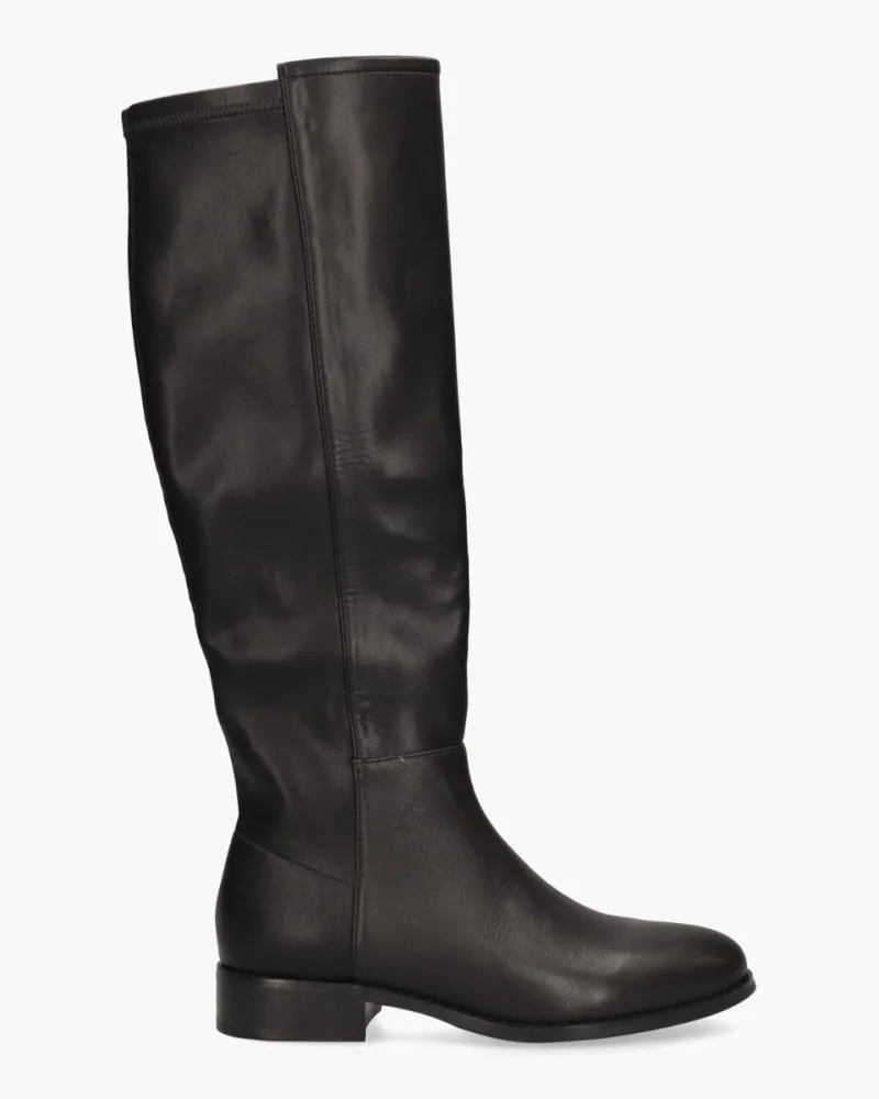 Di Lauro Janine, enkellaarsjes & boots voor dames in zwart
